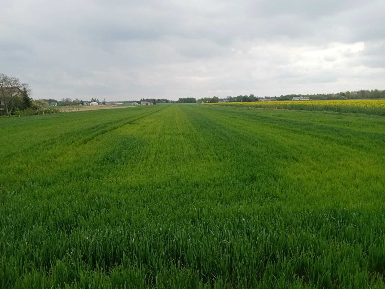 Działka budowlana Nasutów. Zdjęcie 6