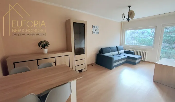 Mieszkanie 2-pokojowe Łódź Teofilów, ul. Rojna
