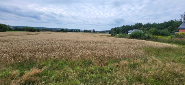 Działka budowlana Orzesze Centrum. Zdjęcie 1