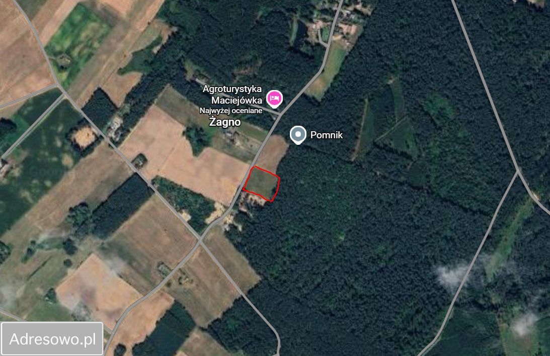 Działka Żagno. Zdjęcie 3