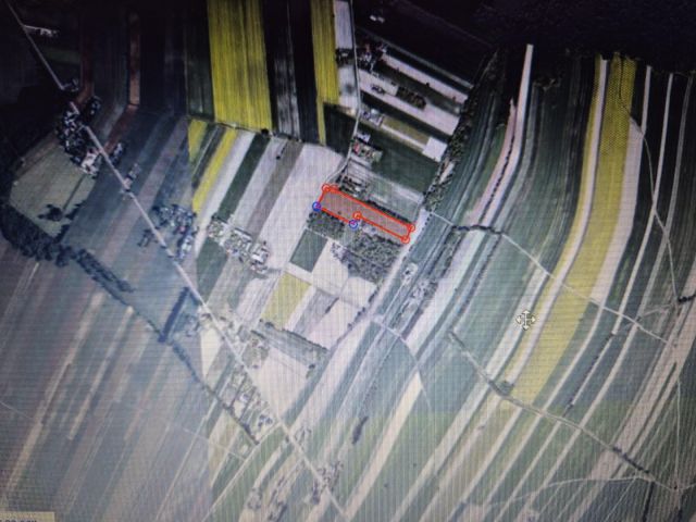 Działka rolno-budowlana Brzostówiec Cegielnia. Zdjęcie 8