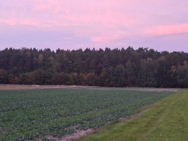 Działka rolno-budowlana Wronowice, ul. Urocza. Zdjęcie 1