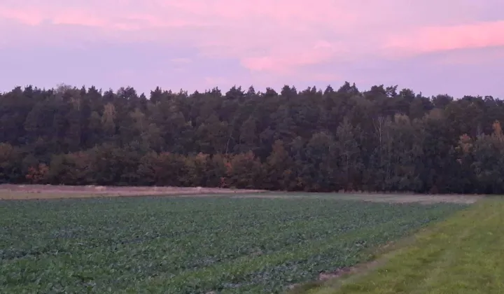 Działka rolno-budowlana Wronowice, ul. Urocza