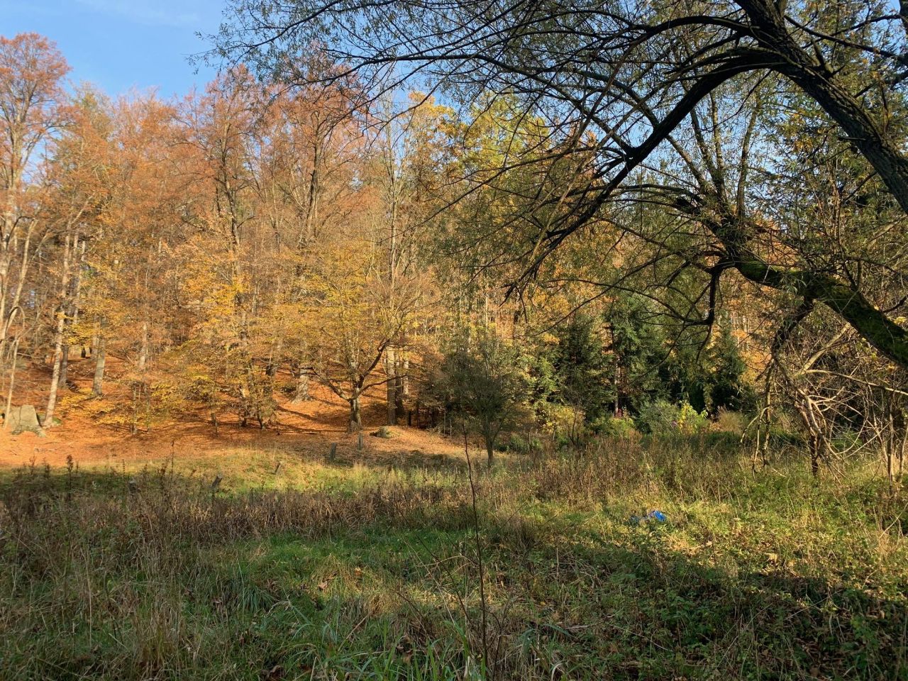 Działka budowlana Staniszów, ul. Witosza. Zdjęcie 3