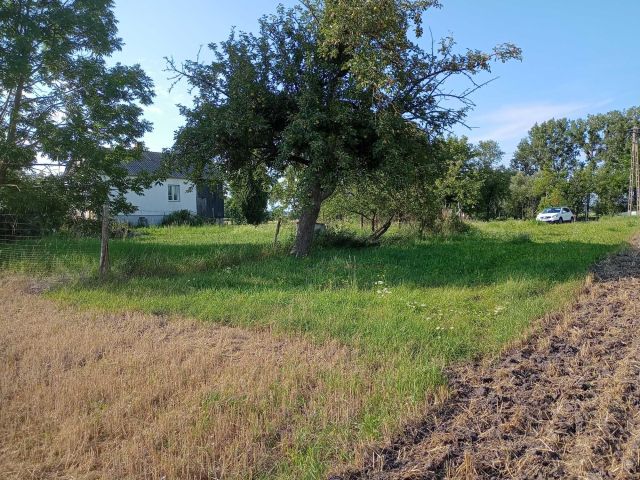 Działka rolno-budowlana Ochoża-Kolonia. Zdjęcie 1