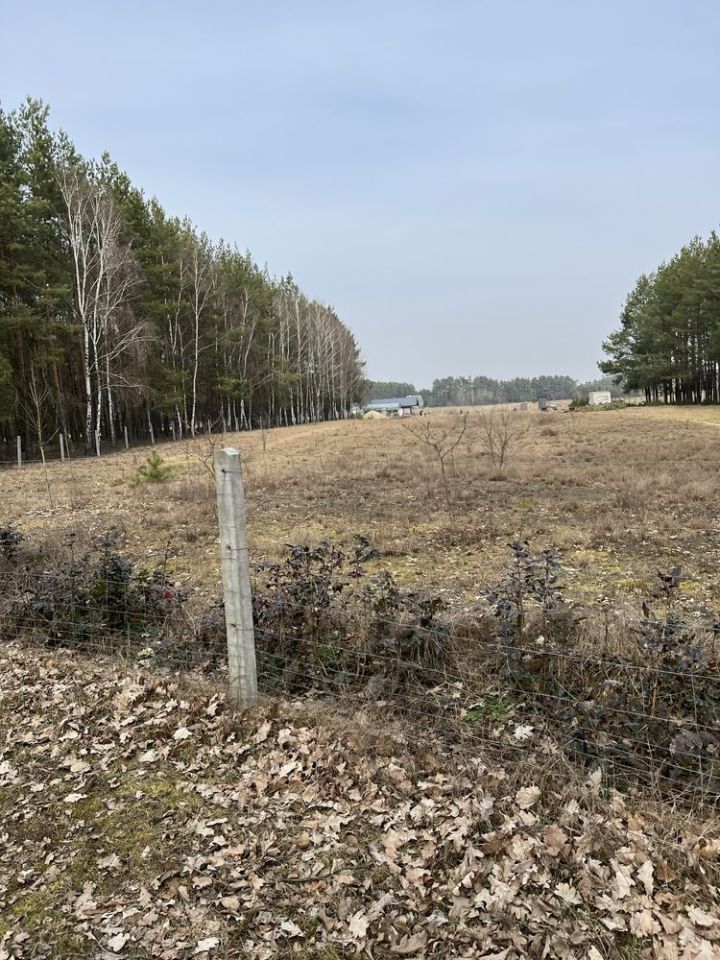 Działka rekreacyjna Łazy. Zdjęcie 6