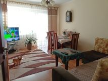 Mieszkanie 4-pokojowe Płock Międzytorze, ul. Tadeusza Gintera. Zdjęcie 1