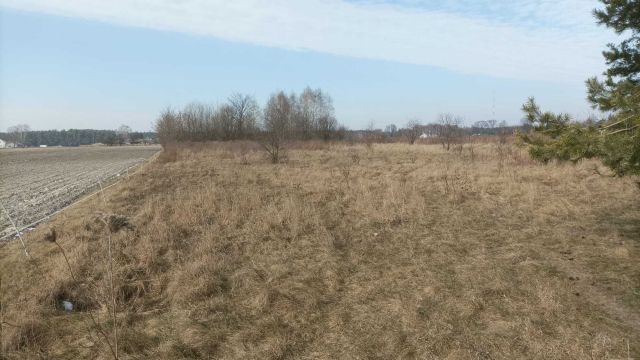 Działka rolno-budowlana Antoninów. Zdjęcie 1