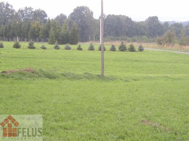 Działka budowlana Sosnowice. Zdjęcie 7