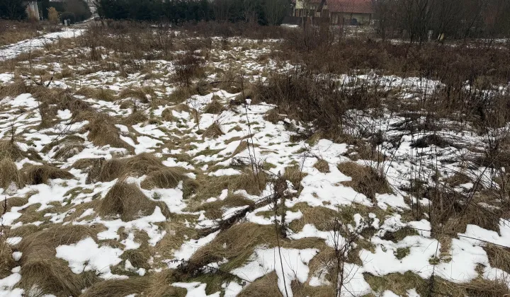 Działka budowlana Zielona Góra Nowy Kisielin, ul. Nowy Kisielin-Świerkowa