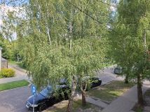 Mieszkanie 1-pokojowe Chełm Dyrekcja, ul. Władysława Reymonta. Zdjęcie 1