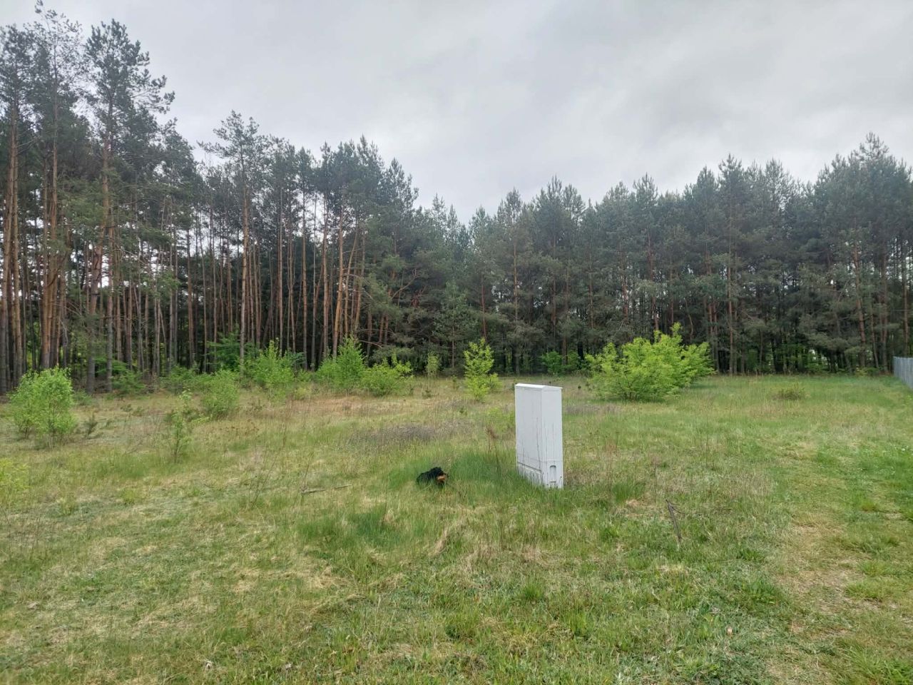 Działka budowlana Świniotop, Spacerowa. Zdjęcie 3