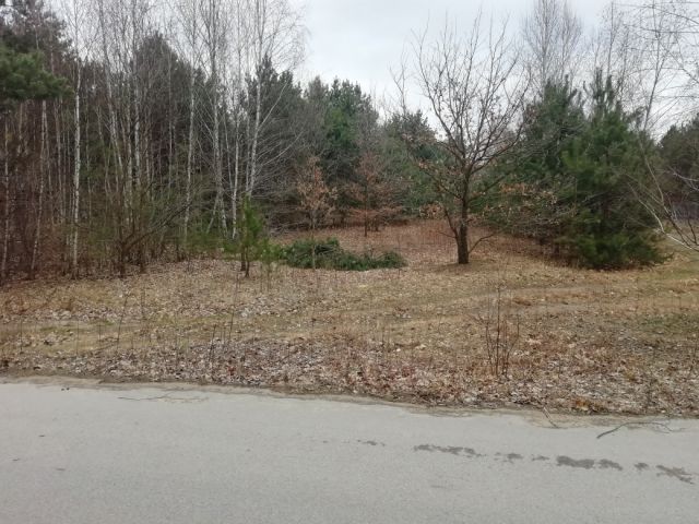 Działka budowlana Wincentówek, ul. Spacerowa. Zdjęcie 1