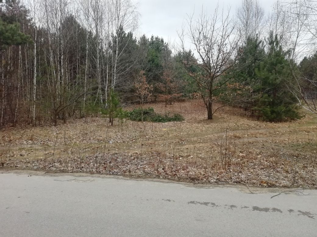 Działka budowlana Wincentówek, ul. Spacerowa. Zdjęcie 1