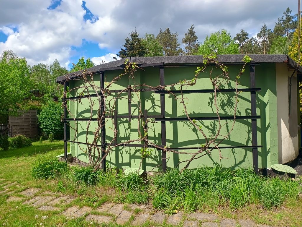 Działka rod Nowe Dąbie. Zdjęcie 5