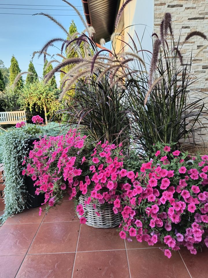 Działka siedliskowa Strachowo. Zdjęcie 4