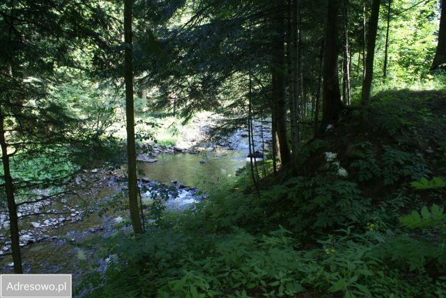 Hotel/pensjonat Zawoja. Zdjęcie 16