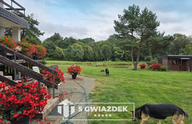 dom wolnostojący, 5 pokoi Krosino, ul. Spacerowa. Zdjęcie 48