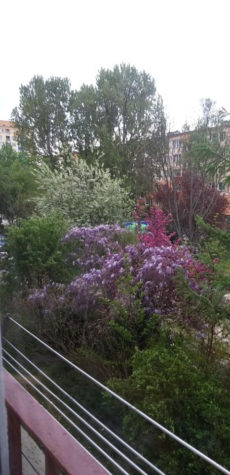 Mieszkanie 3-pokojowe Wrocław Psie Pole, ul. Kiełczowska. Zdjęcie 20