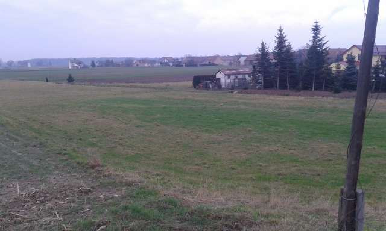 Działka budowlana Kórnica. Zdjęcie 3