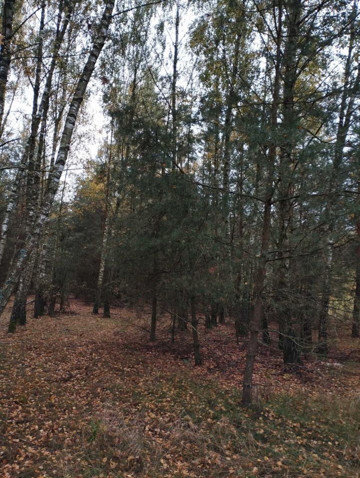 Działka rolna Obryte. Zdjęcie 3