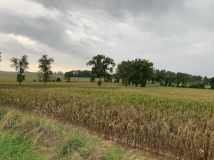 Działka inwestycyjna Kobierzyce. Zdjęcie 2