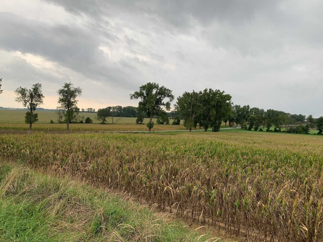 Działka inwestycyjna Kobierzyce. Zdjęcie 3