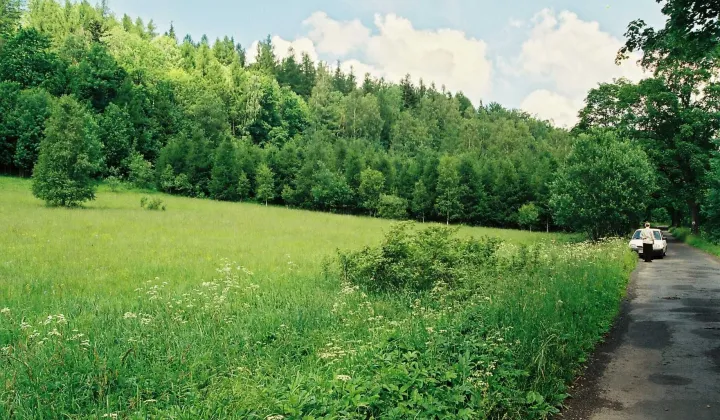 Działka Stara Morawa