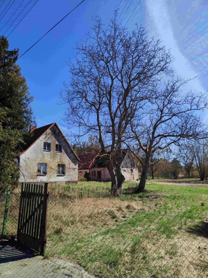 bliźniak, 4 pokoje Trzcińsko-Zdrój, ul. Polna. Zdjęcie 6