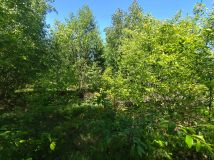 Działka inna Wólka Grodziska. Zdjęcie 3