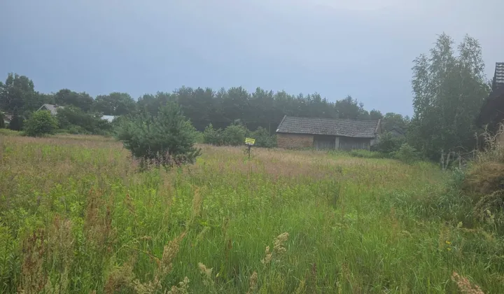 Działka rolna Wola Rzeczycka