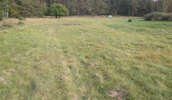 Działka rolna Jaryszewo