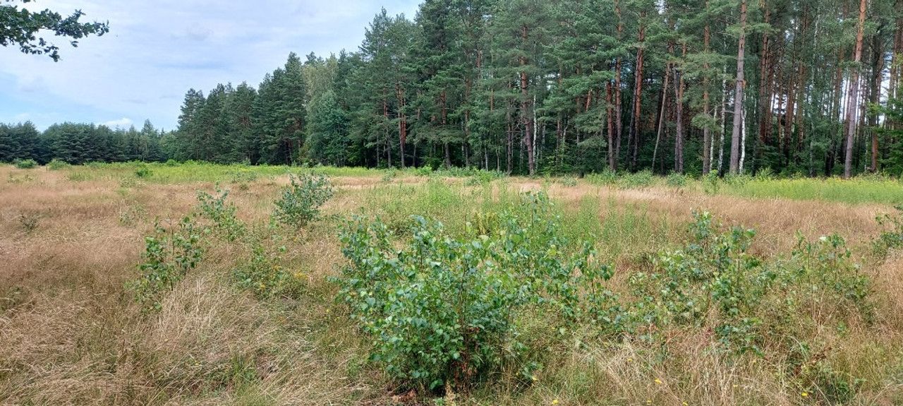 Działka budowlana Złotów. Zdjęcie 2