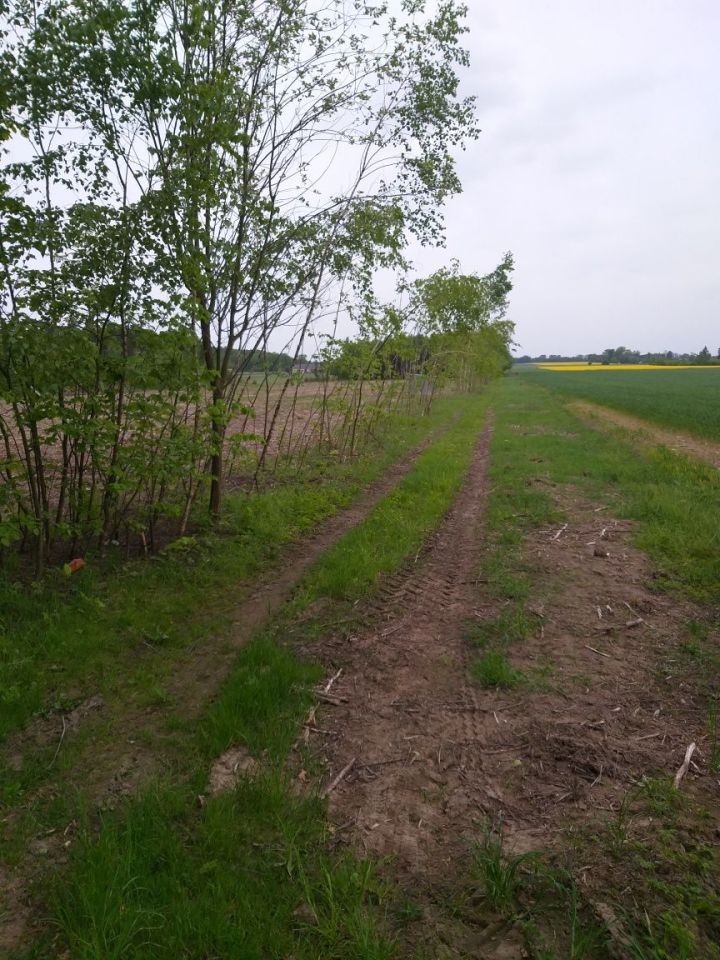 Działka rolno-budowlana Radzymin. Zdjęcie 4