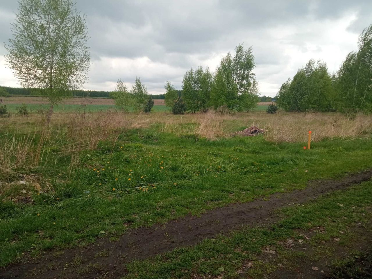 Działka budowlana Bełchów. Zdjęcie 3