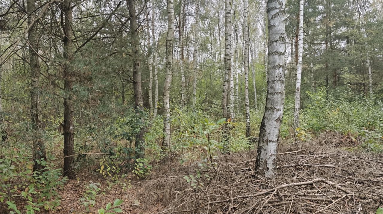 Działka budowlana Nowe Chrusty, ul. Klonowa. Zdjęcie 3