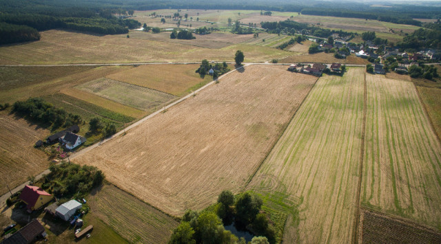 Działka rolna Kiełpiny. Zdjęcie 1