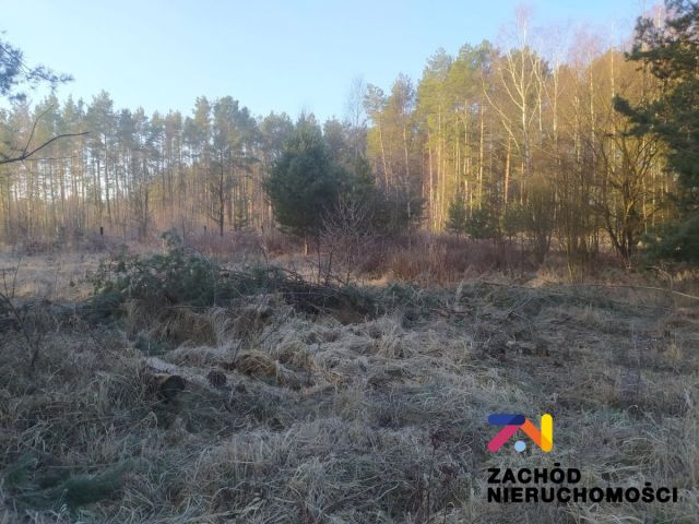 Działka budowlana Radomia. Zdjęcie 1