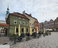 Lokal Poznań Stare Miasto, rynek Stary Rynek