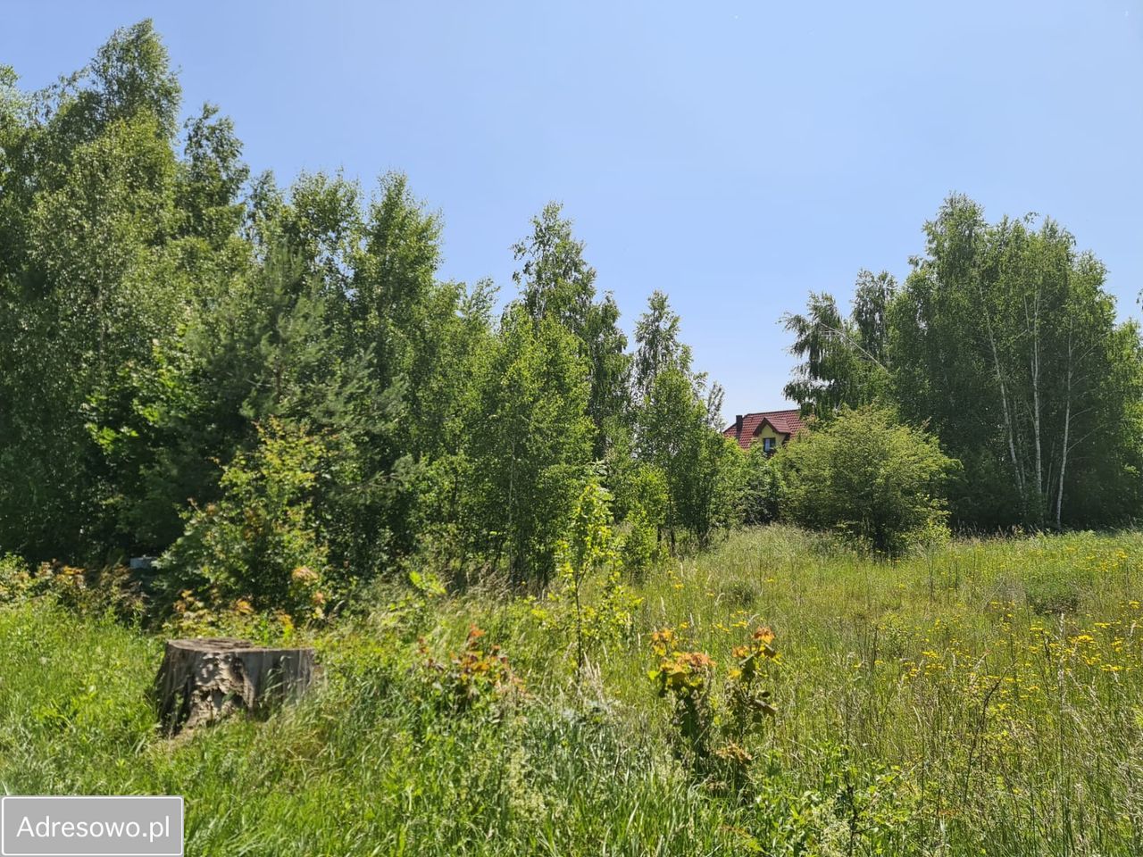 Działka rolna Woźnice. Zdjęcie 8