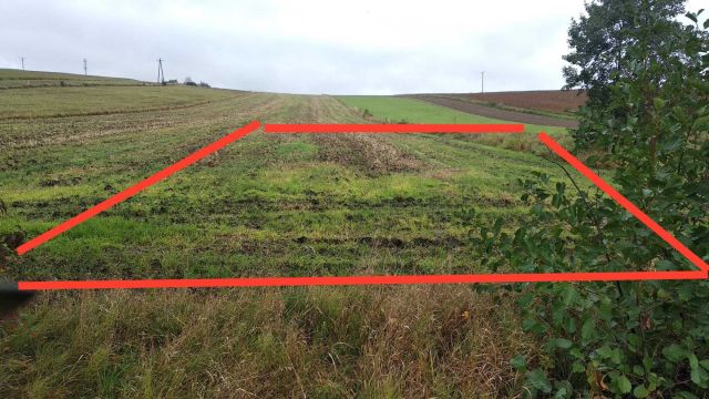 Działka rolna Nowy Żmigród. Zdjęcie 1