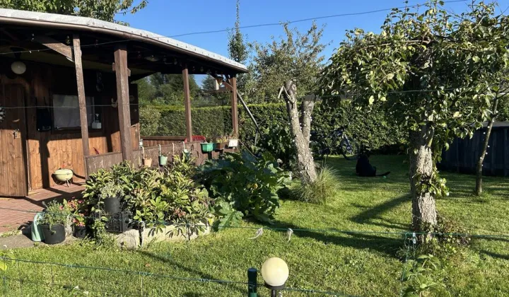 Działka rod Gdynia Działki Leśne, ul. Hutnicza