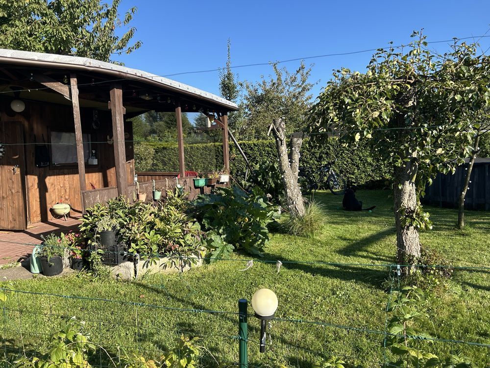 Działka rod Gdynia Działki Leśne, ul. Hutnicza. Zdjęcie 1