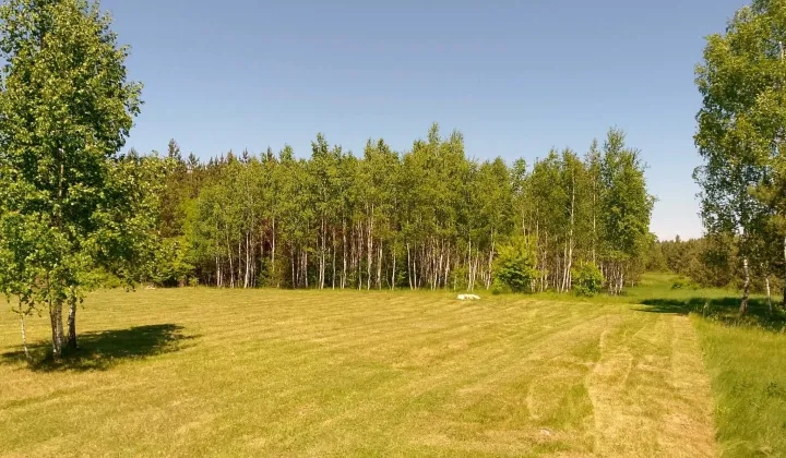 Działka siedliskowa Konopaty