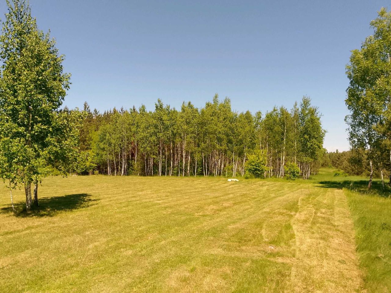 Działka siedliskowa Konopaty. Zdjęcie 1