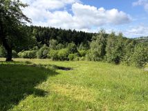 Działka rolno-budowlana Mszalnica. Zdjęcie 3