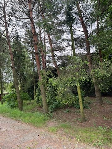 dom wolnostojący, 15 pokoi Częstochowa Grabówka, ul. Ikara. Zdjęcie 27