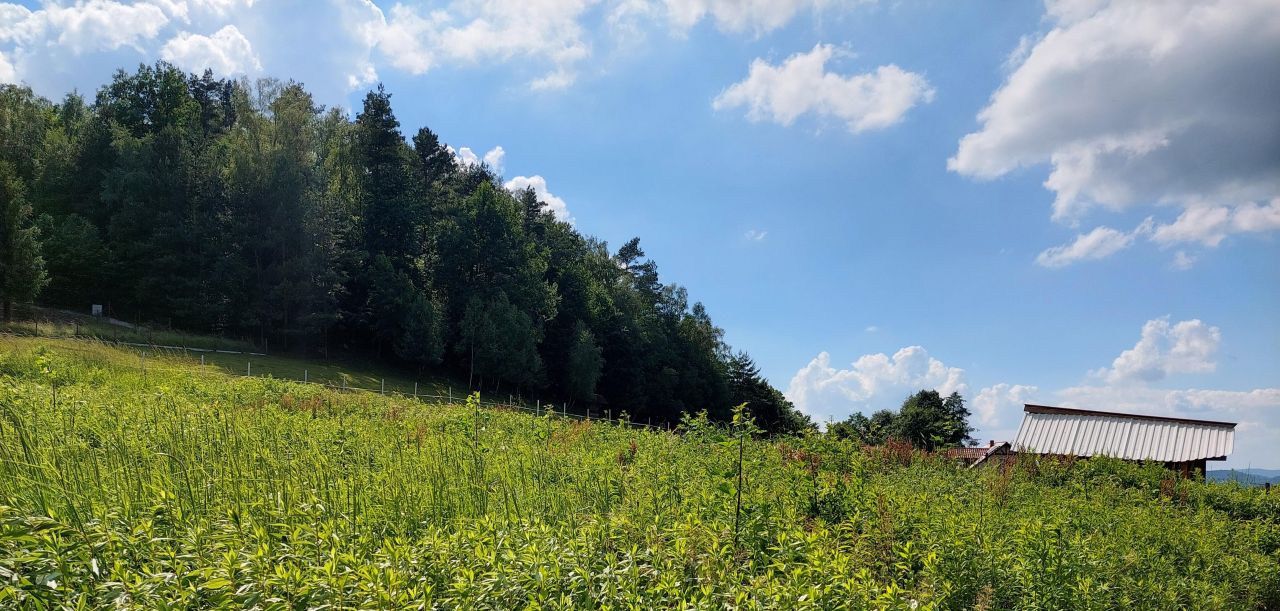 Działka budowlana Rożnów Wiesiółka. Zdjęcie 5