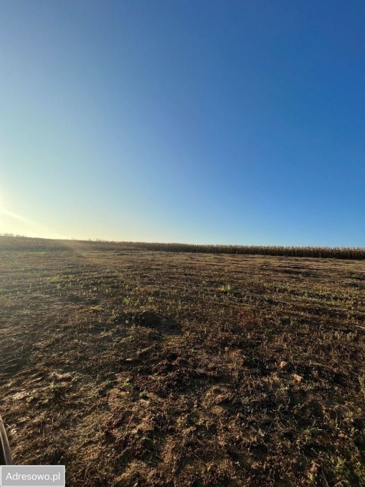 Działka budowlana Rybno Wielkie. Zdjęcie 2
