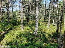 Działka budowlana Gródek. Zdjęcie 2